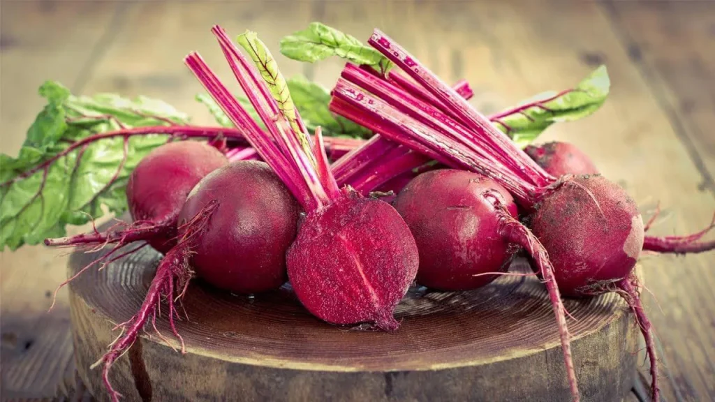 Củ dền là thân củ hay rễ củ