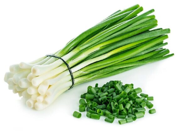 Hành ta tiếng Anh là gì