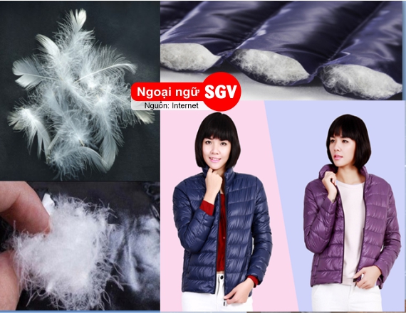 Áo phao lông vũ tiếng Nhật là gì