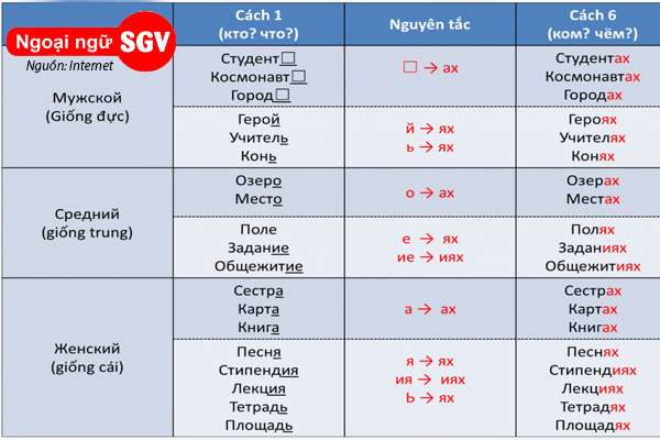 Cách biến đổi tính từ theo giống, số cách trong tiếng Nga là gì