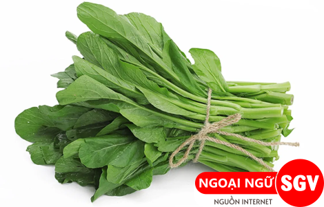 Cải ngồng tiếng Trung là gì