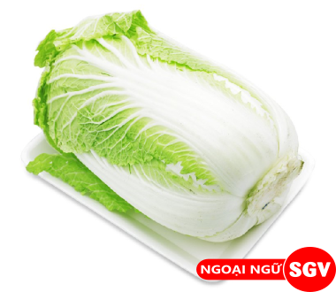 Cải thảo tiếng Anh là gì