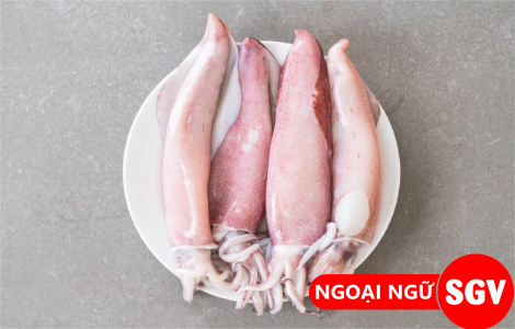 Con mực ống tiếng Anh là gì