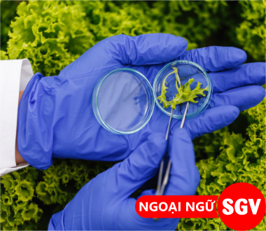 Công nghệ thực phẩm tiếng Nhật là gì