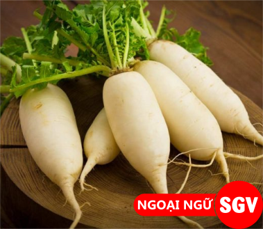 Củ cải tiếng Trung là gì