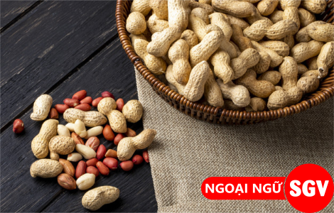 Hạt lạc tiếng Anh là gì