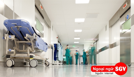 Hospital ward là gì