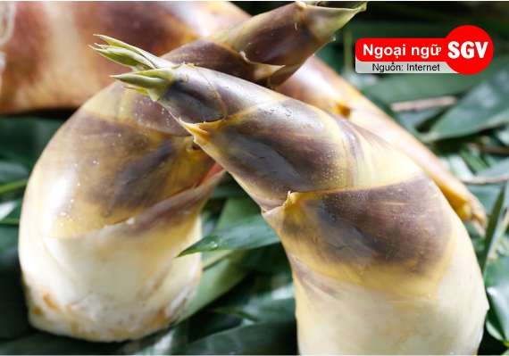 Măng tiếng Nhật là gì