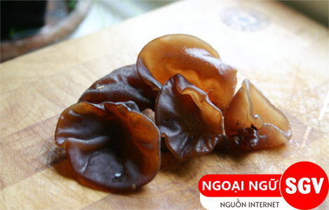 Mộc nhĩ tiếng Anh là gì