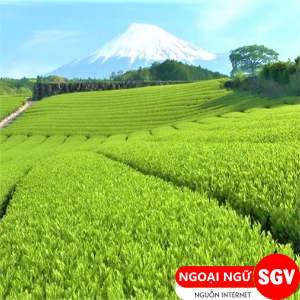 Nông nghiệp tiếng Nhật là gì