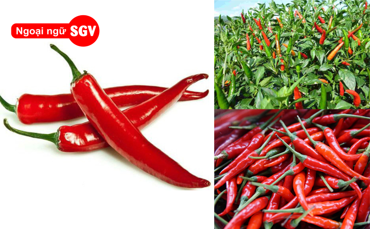 Quả ớt tiếng Trung là gì