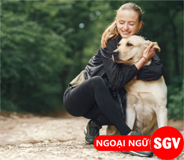 Suki tiếng Nhật là gì