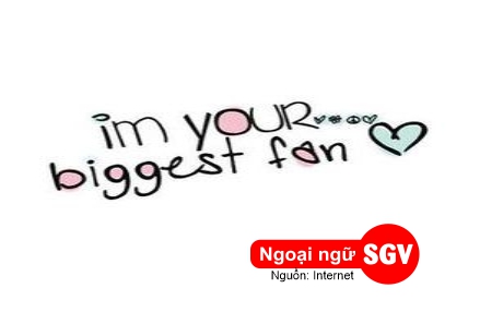Tôi là fan của bạn tiếng Anh là gì
