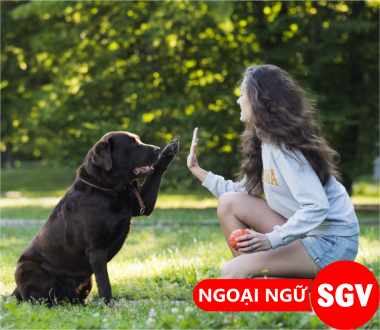 Trung thành tiếng Nhật là gì