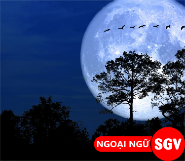 Tsuki ga kirei desu ne là gì