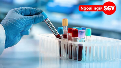 Xét nghiệm máu tiếng Nhật là gì