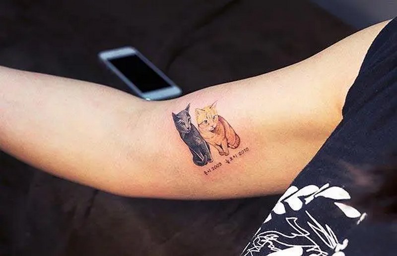 Có hình xăm có đi xkld hàn quốc được không