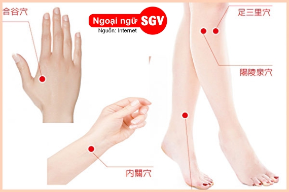 Bấm huyệt tiếng Trung là gì