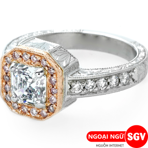 Đắt tiếng Anh là gì