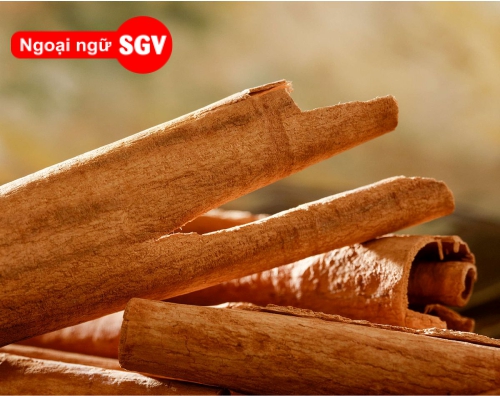 Quế tiếng Nhật là gì