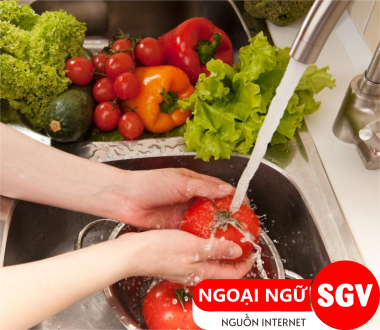 Vệ sinh an toàn thực phẩm tiếng nhật là gì